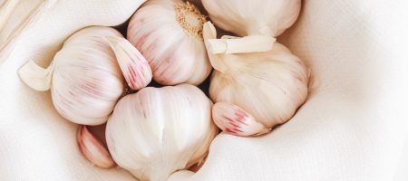 garlic