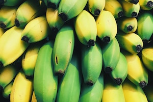 banana banana