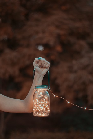 masonjar_fairylight mason fairy light
