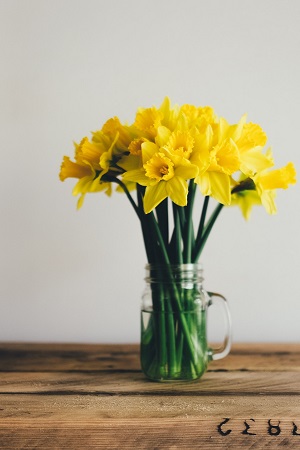 masonjar_vase vase