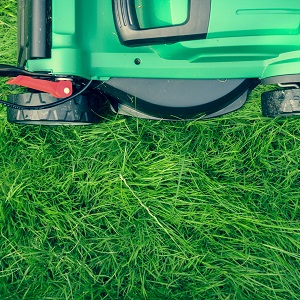 hw_fitguide_lawns mow the lawns