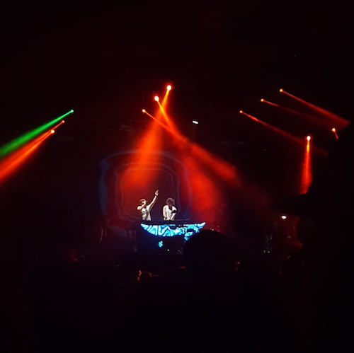 ACL_pekingduk peking duk