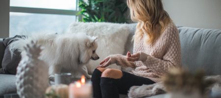 health pet