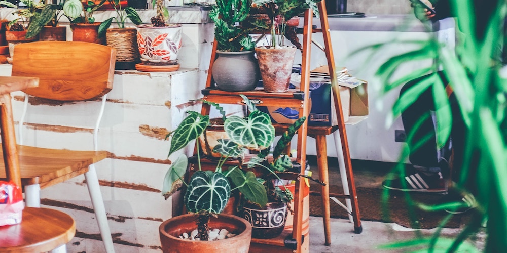 plantsathome