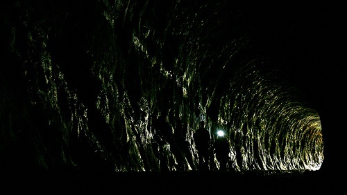 glow worm tunnel 