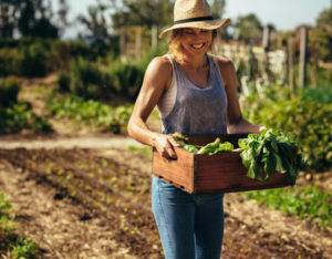 garden veggies