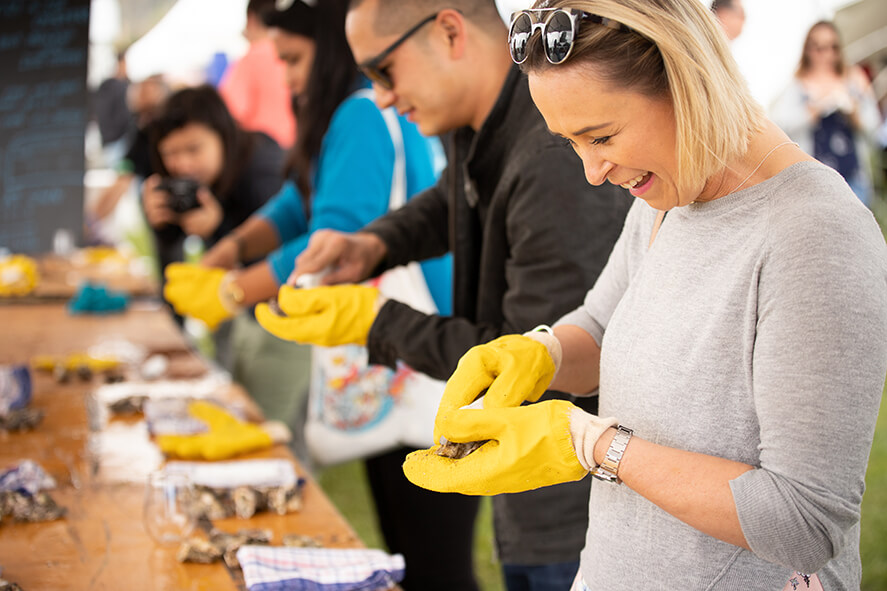 matakanafest oyster fest