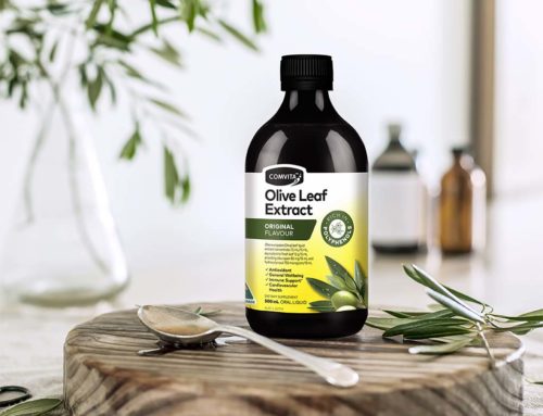 All You Need To Know About Olive Leaf Extract